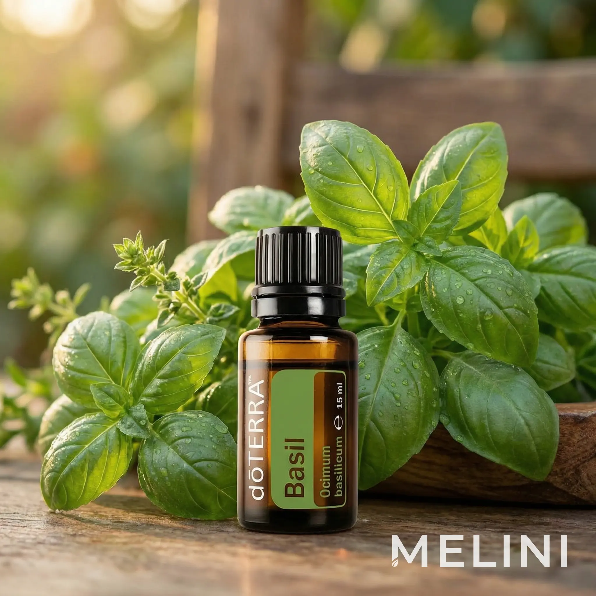 dōTERRA Basil Oil 15 ml — alternate view of the bottle and packaging