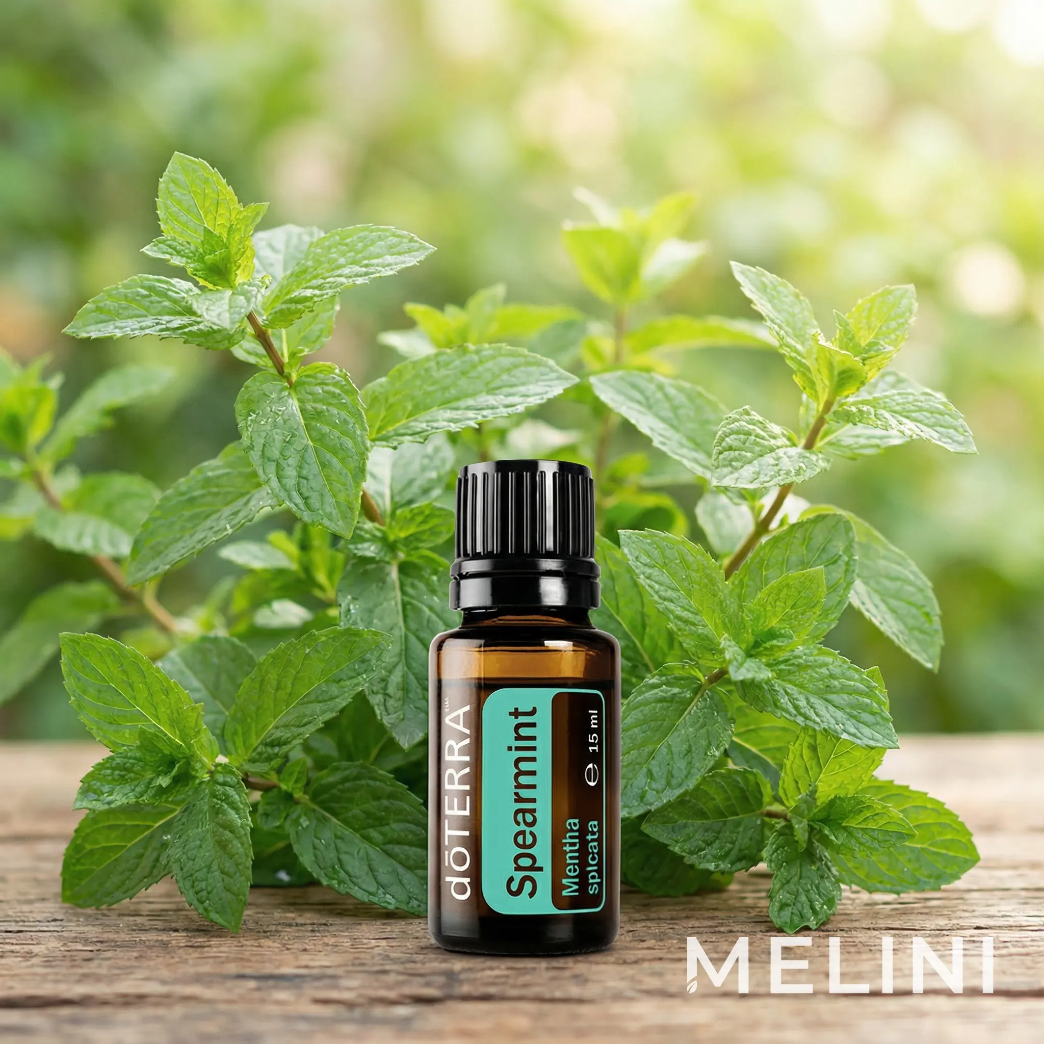 dōTERRA Spearmint Essential Oil 15 ml — alternate view of the bottle and packaging
