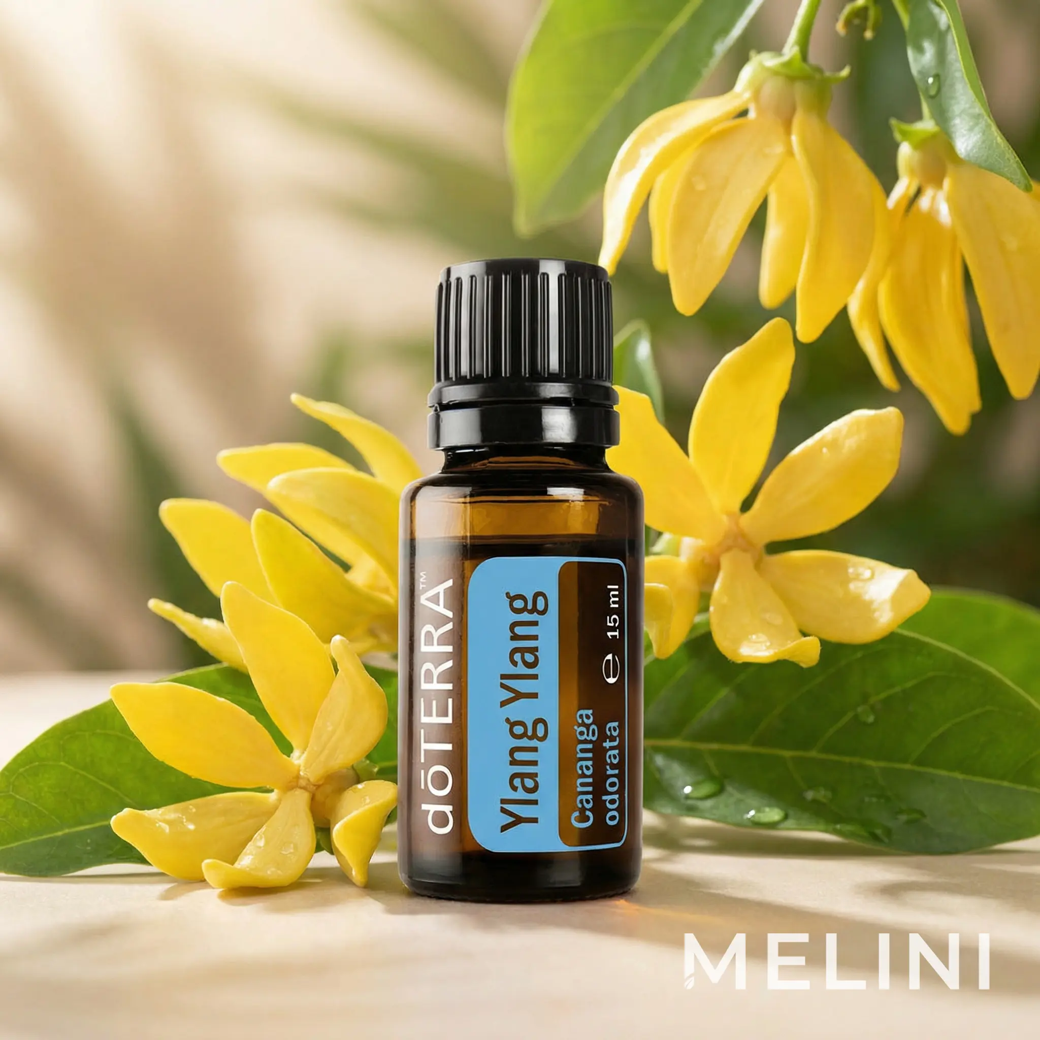dōTERRA Ylang Ylang 15 ml — alternate view of the bottle and packaging