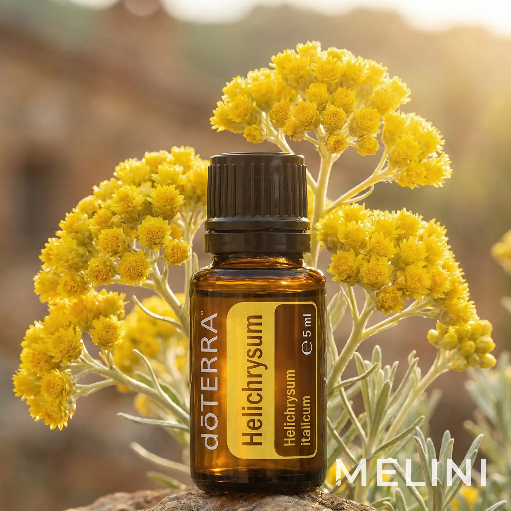 dōTERRA Italian Helichrysum 5 ml — alternate view of the bottle and packaging