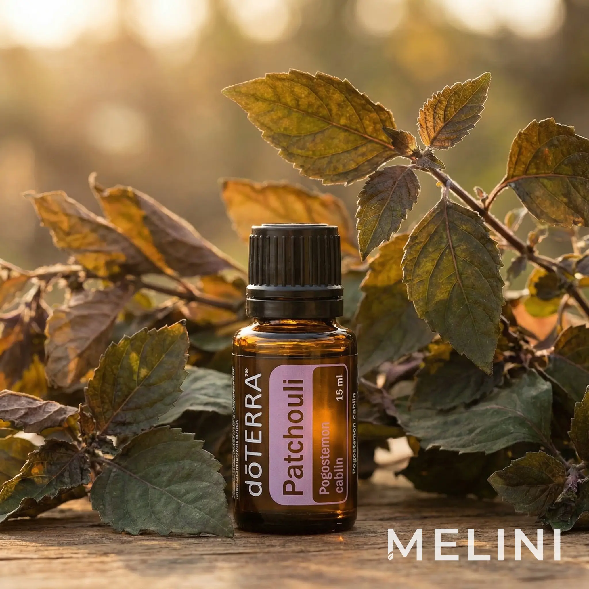 dōTERRA Patchouli 15ml — alternate view of the bottle and packaging