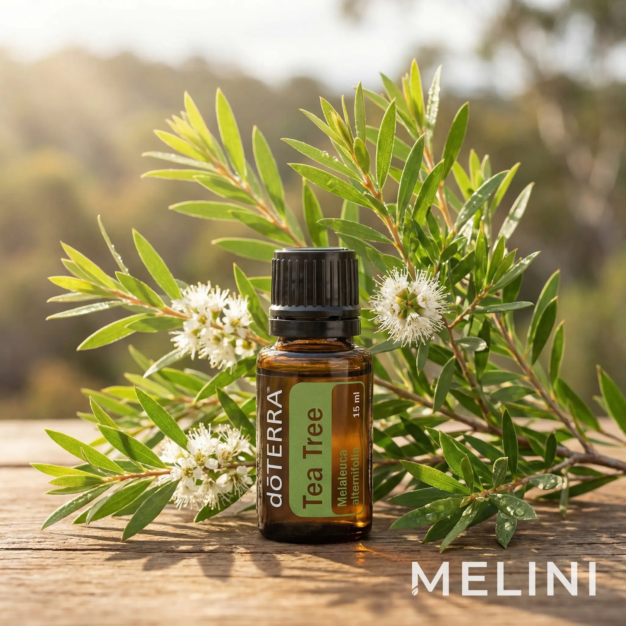 dōTERRA Tea Tree Oil 15ml — alternate view of the bottle and packaging