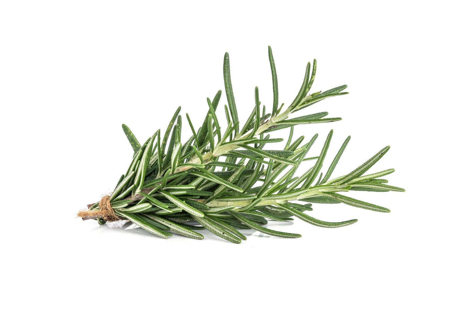 dōTERRA Rosemary Essential Oil 15 ml — product photo 3