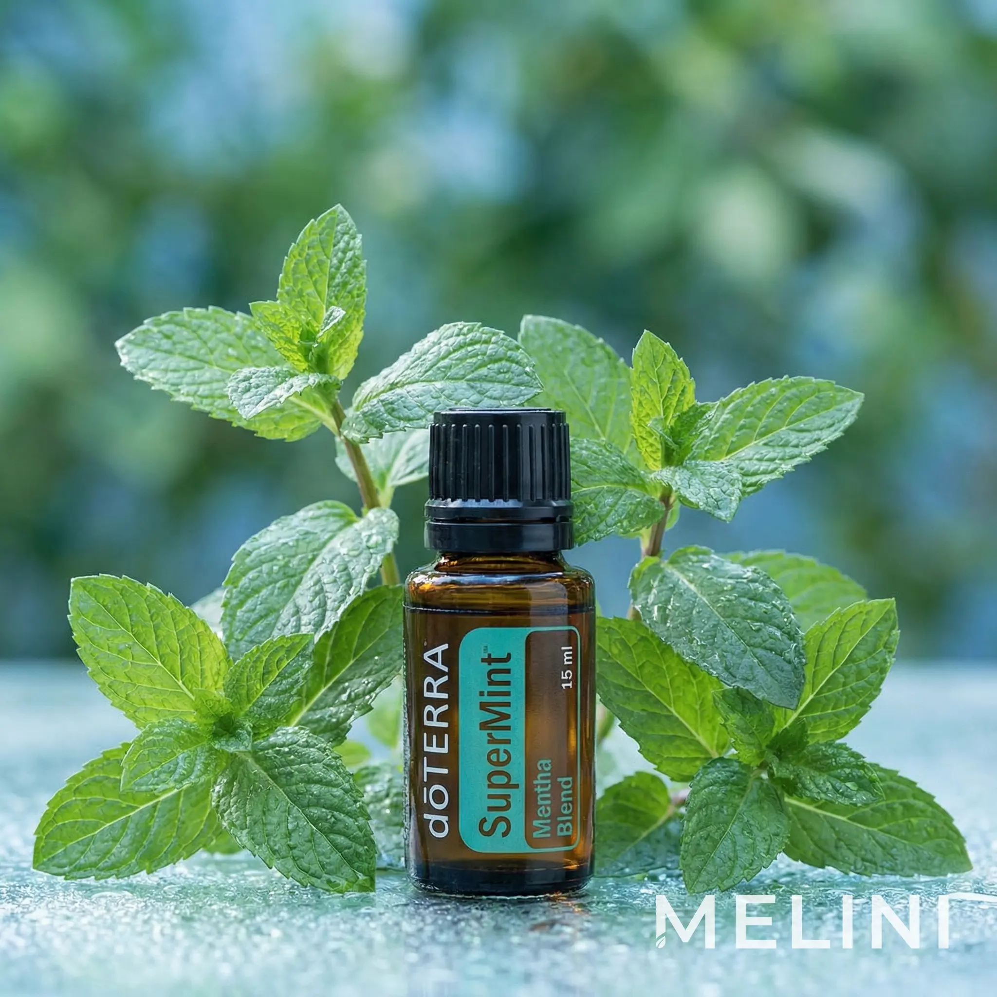 dōTERRA SuperMint™ 15 ml — alternate view of the bottle and packaging