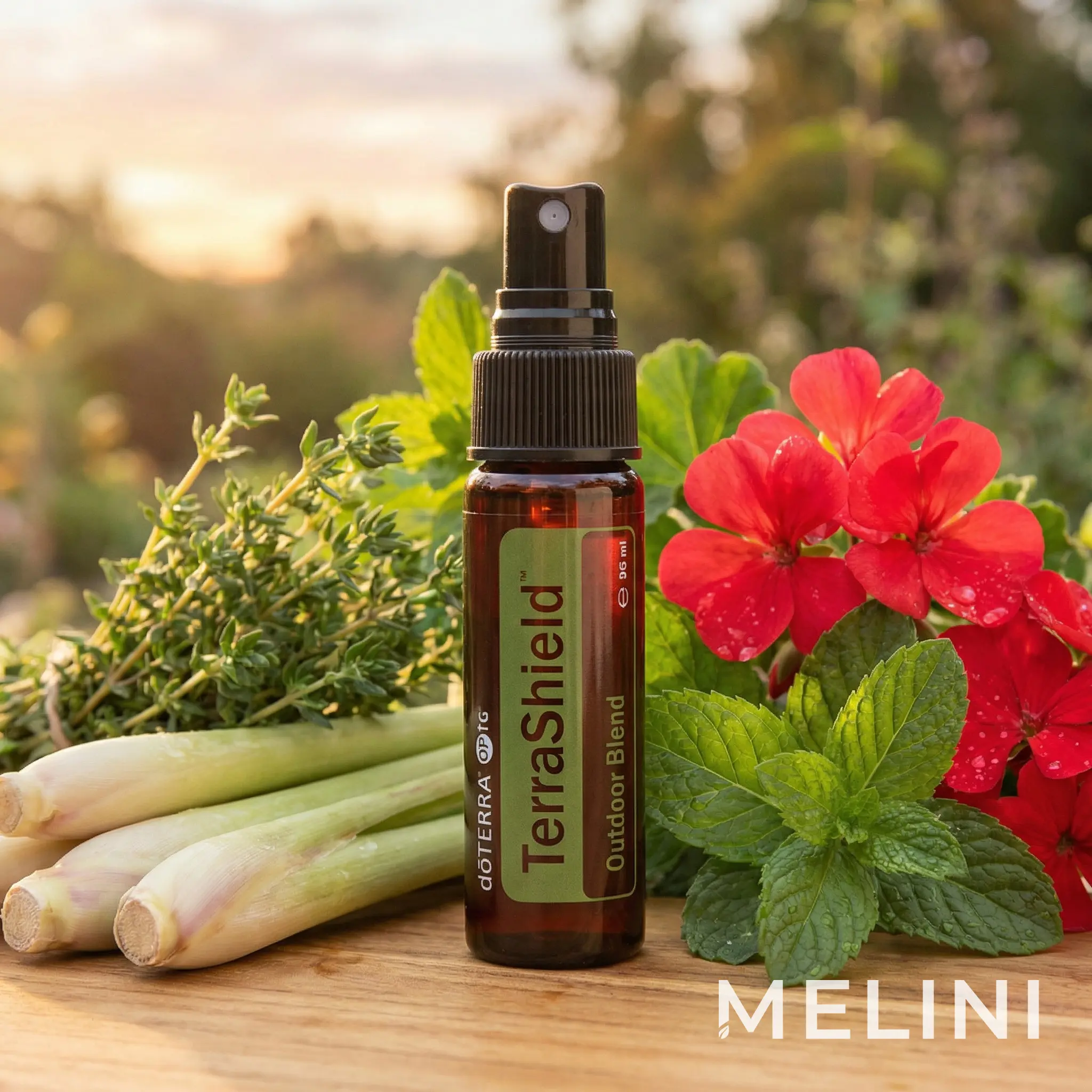 dōTERRA TerraShield Spray — alternate view of the bottle and packaging