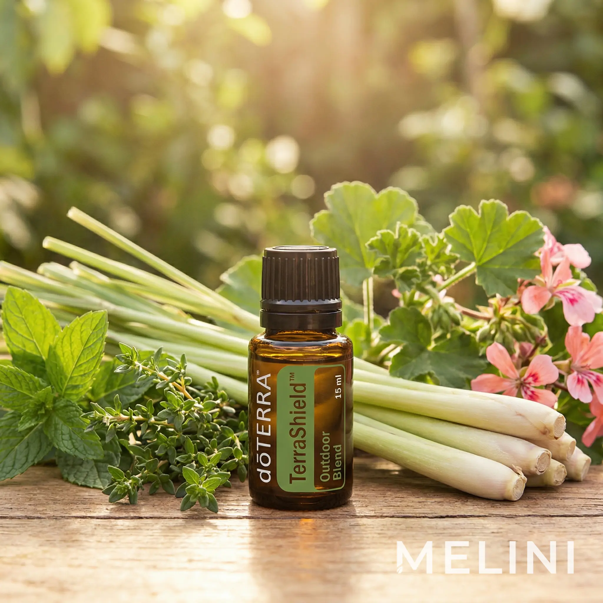 dōTERRA TerraShield — alternate view of the bottle and packaging